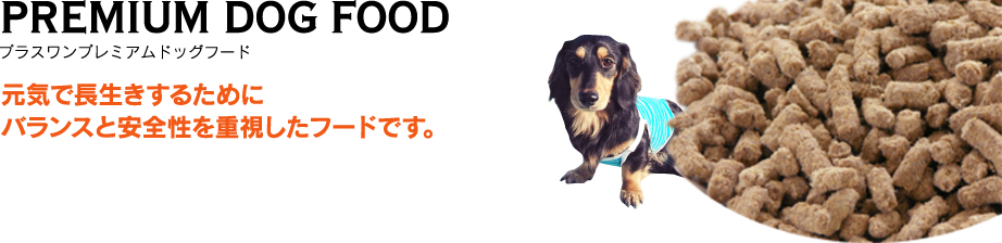 PREMIUM DOG FOOD プラスワンプレミアムドッグフード 元気で長生きするためにバランスと安全性を重視したフードです。